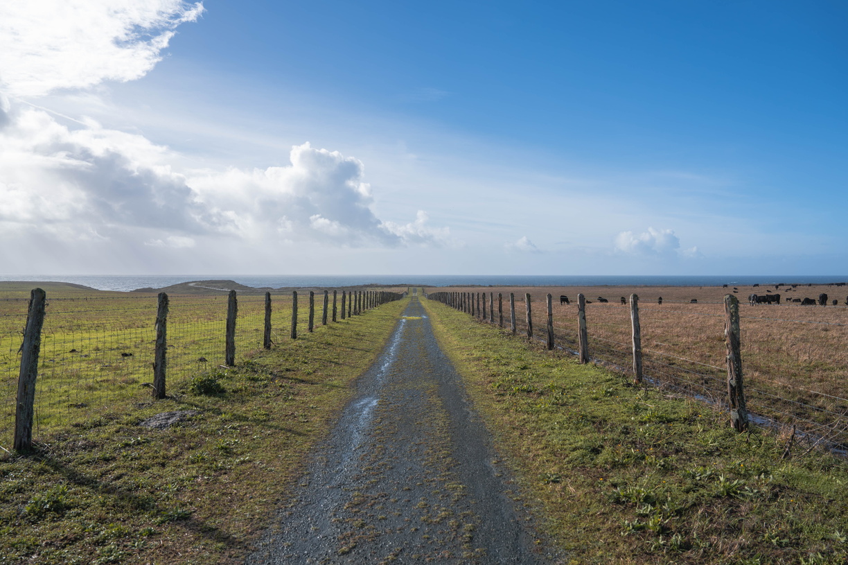 DSC01124-Enhanced-NR