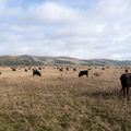 DSC01276