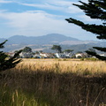 DSC00548-Enhanced-NR