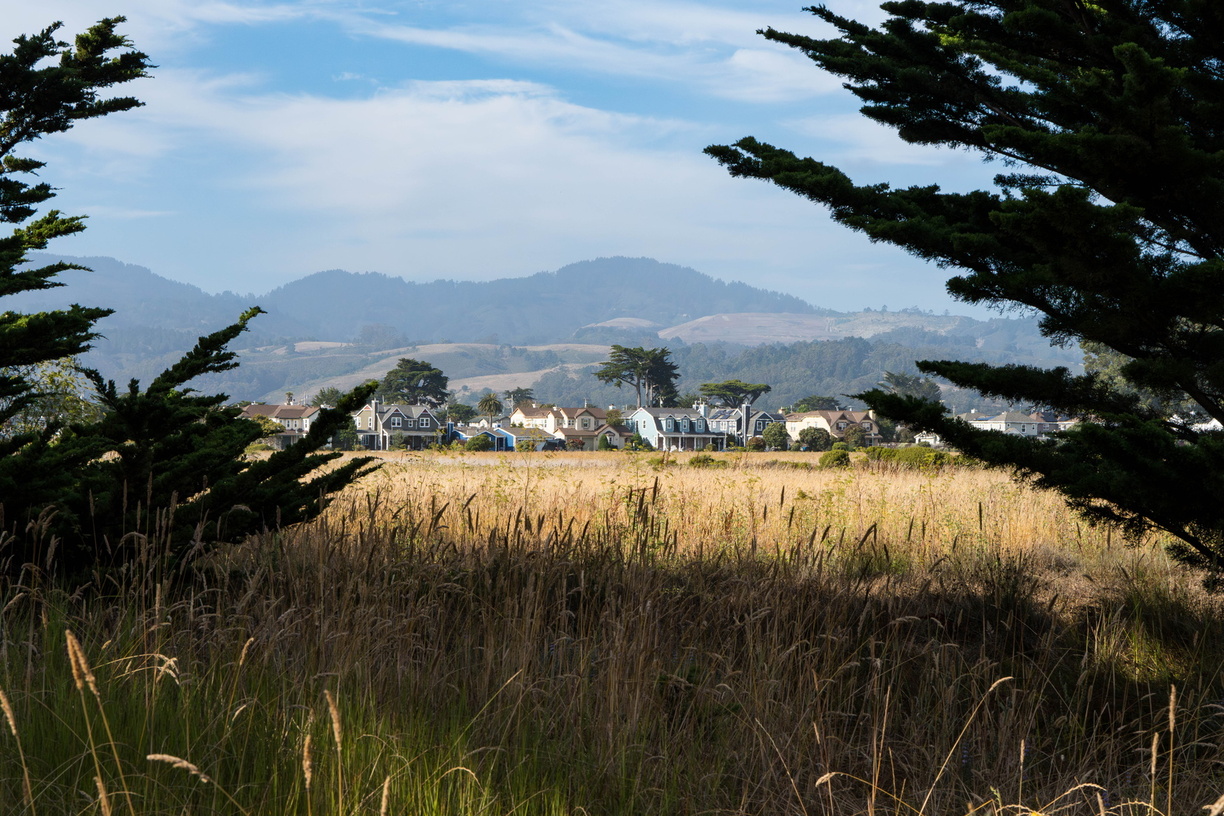 DSC00548-Enhanced-NR