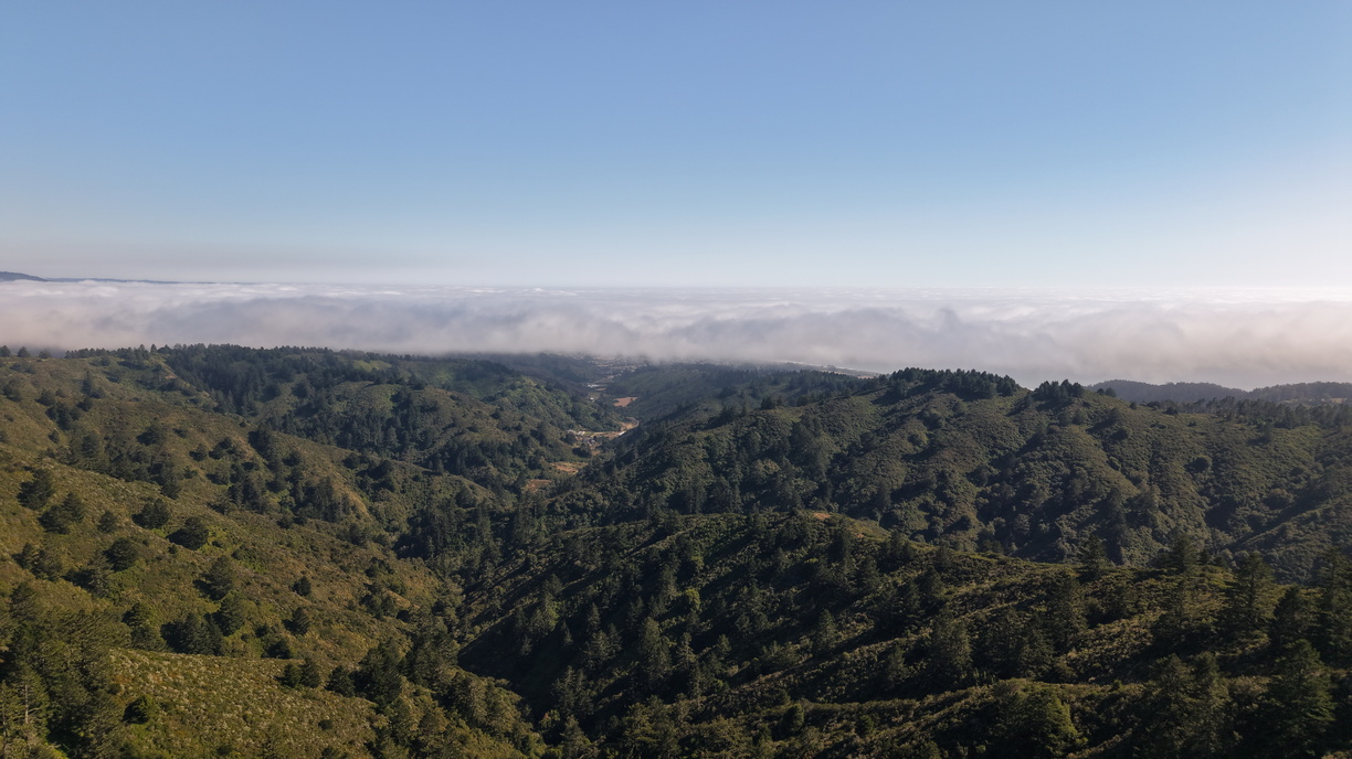 DJI 20250706170351 0002 D
