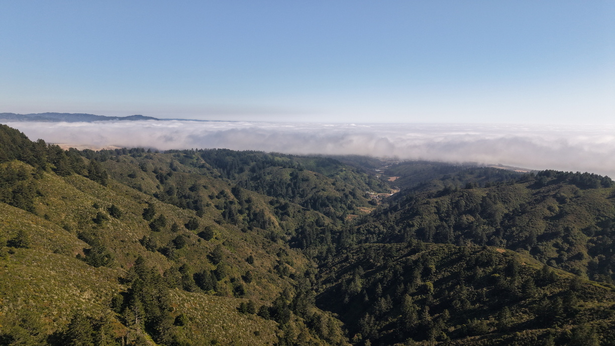 DJI 20250706170409 0004 D