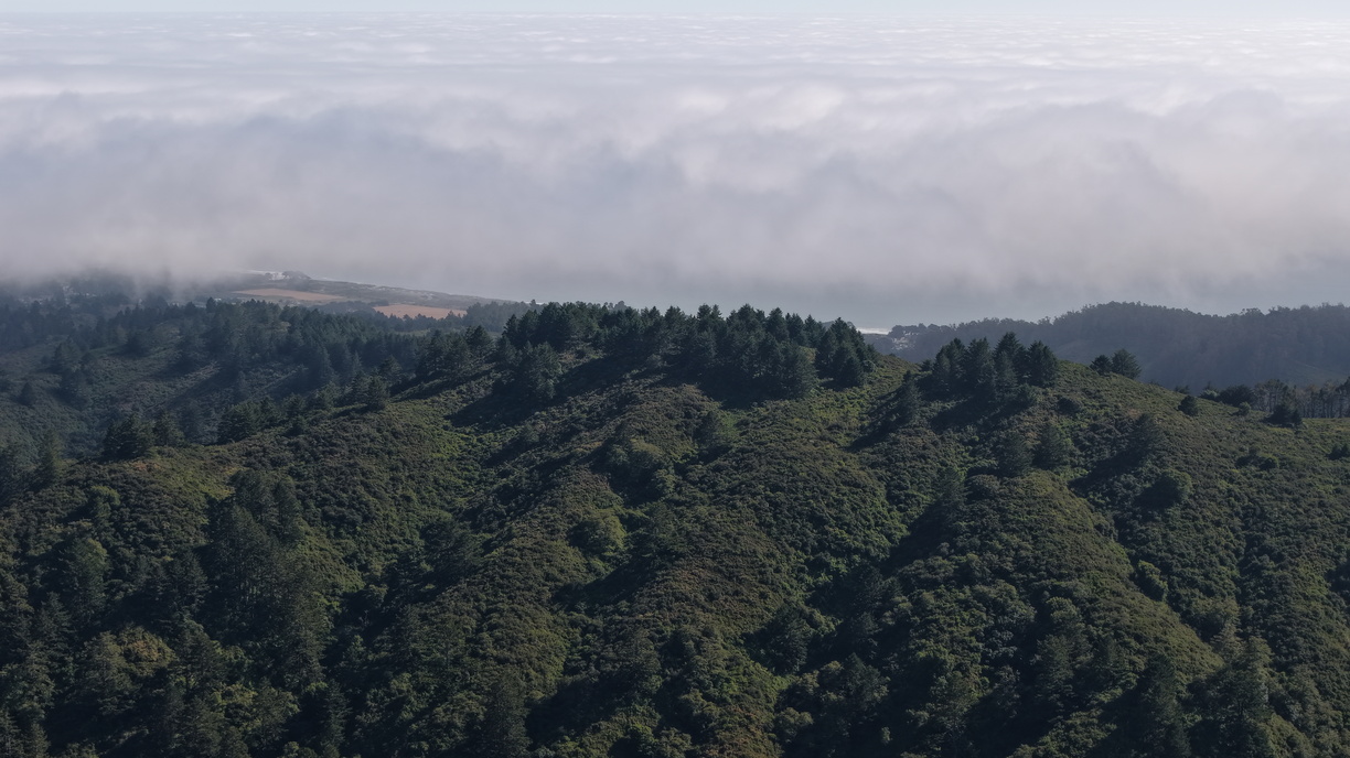 DJI 20250706170421 0005 D