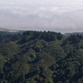 DJI 20250706170430 0006 D