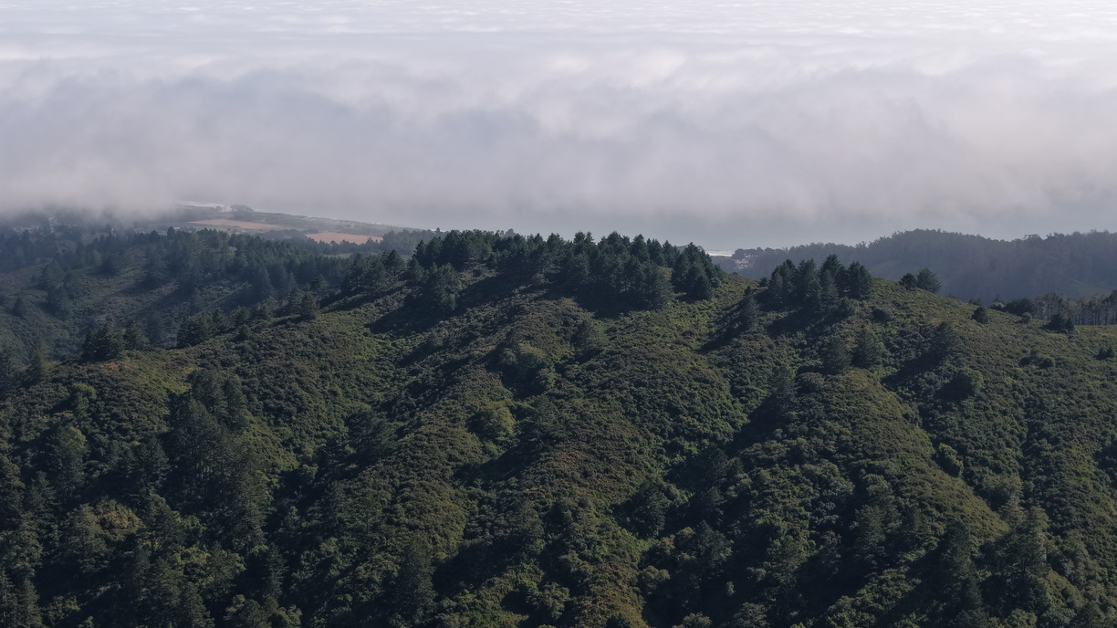 DJI 20250706170430 0006 D