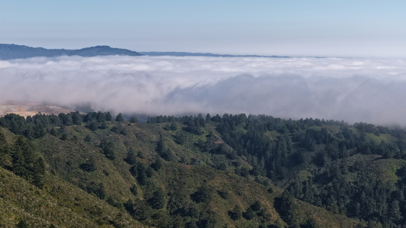 DJI_20250706170454_0010_D.JPG