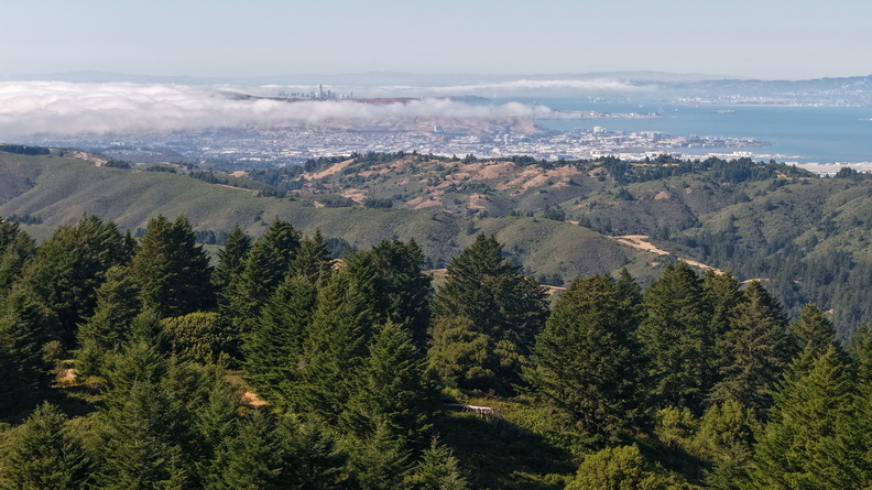 DJI_20250706171619_0030_D.JPG
