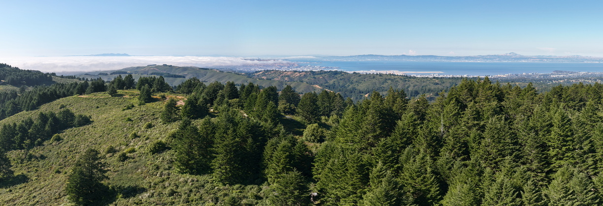 DJI 20250706171723 0034 D
